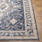 Livabliss Truva TRV-2301 Area Rug , With Fringe TRV2301-79105 - alternate 3